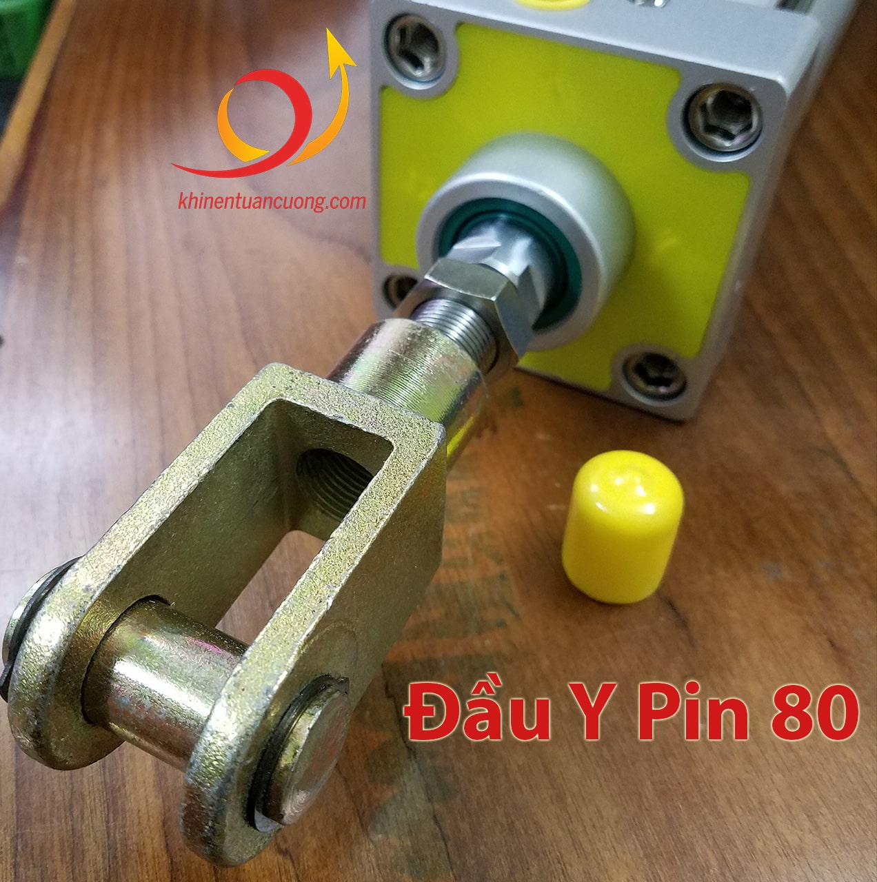 Đầu Y Pin 80 lắp trên xi lanh chất lượng TGC80x350-S STNC có từ